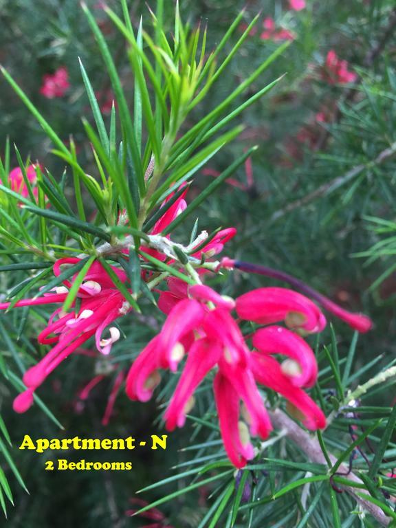 Mi Apartment Stari Grad  Bagian luar foto